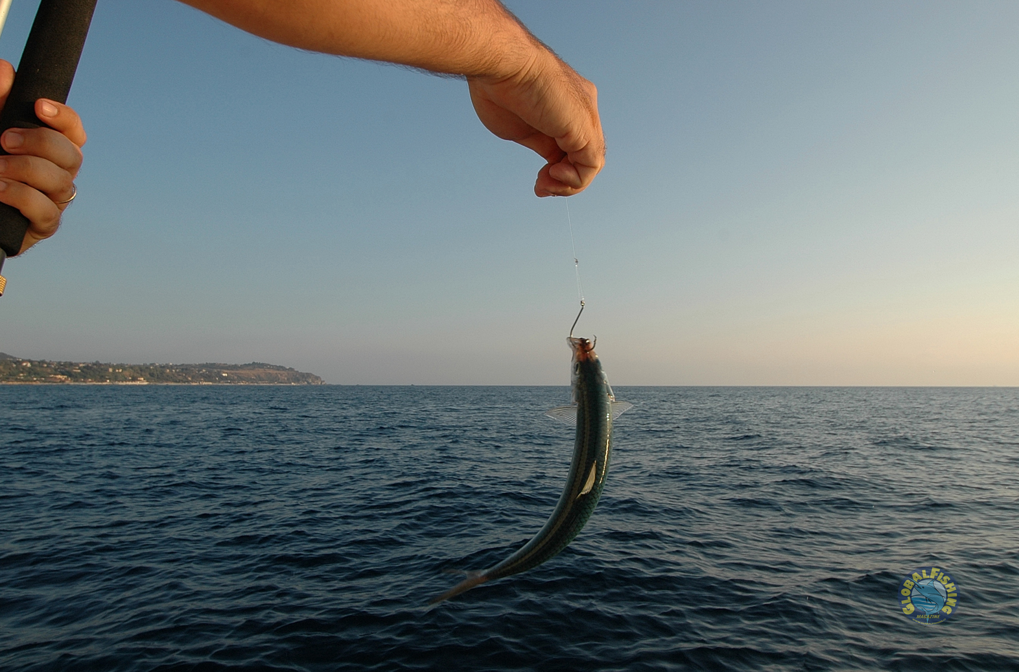 Pesca a traina: tutto quello che c'è da sapere sulla pesca dalla barca -  Mare e Cielo